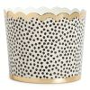 75-Piece 5oz Paper Baking Cups - Black & Gold
